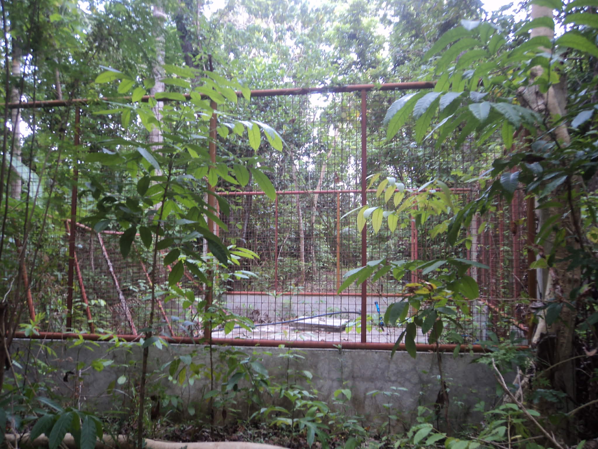 WATER RESERVIOR