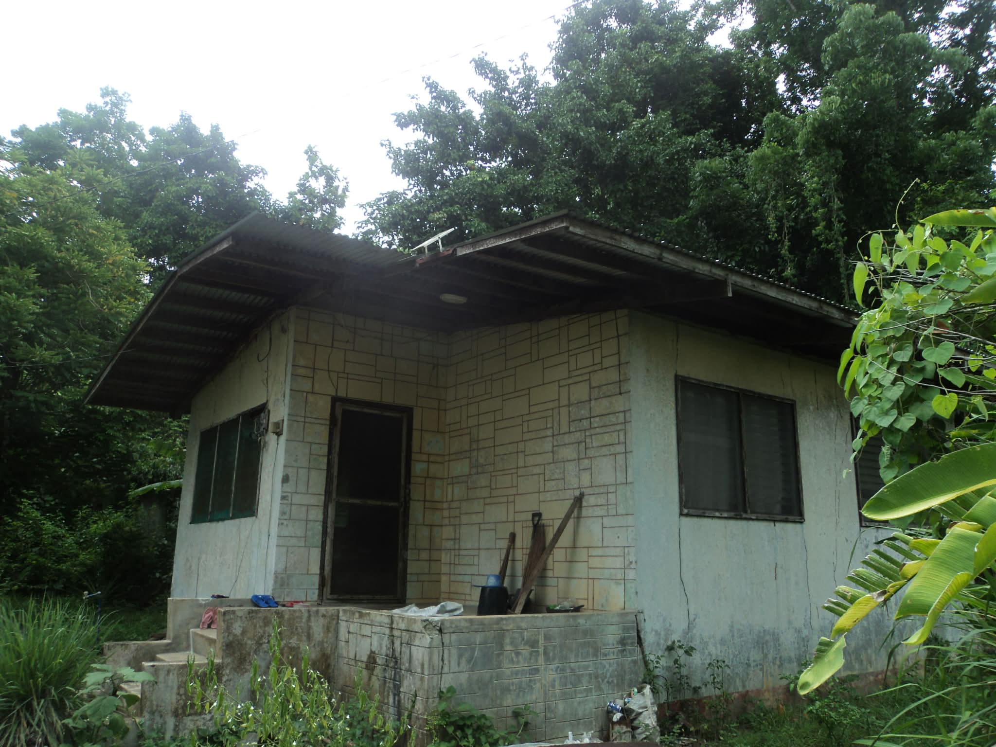 STAFF HOUSE  (DIOSPYROS)