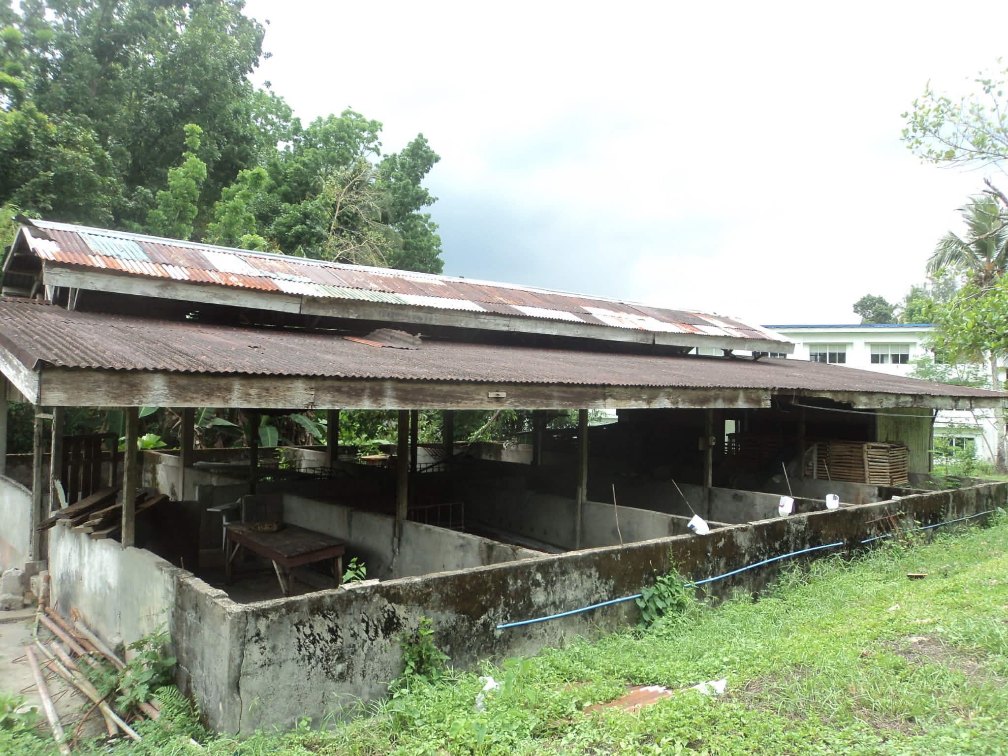PIGGERY HOUSE