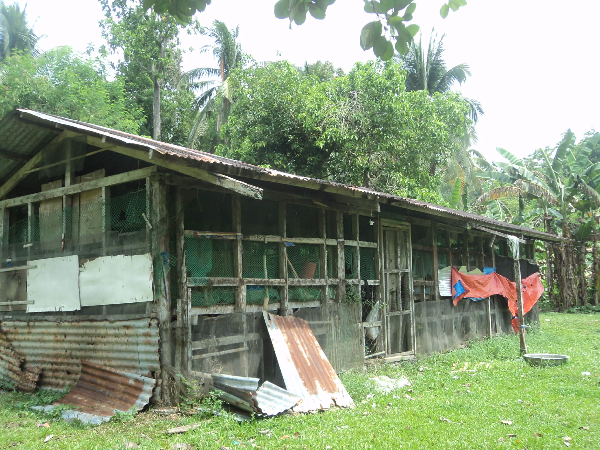 POULTRY HOUSE 1