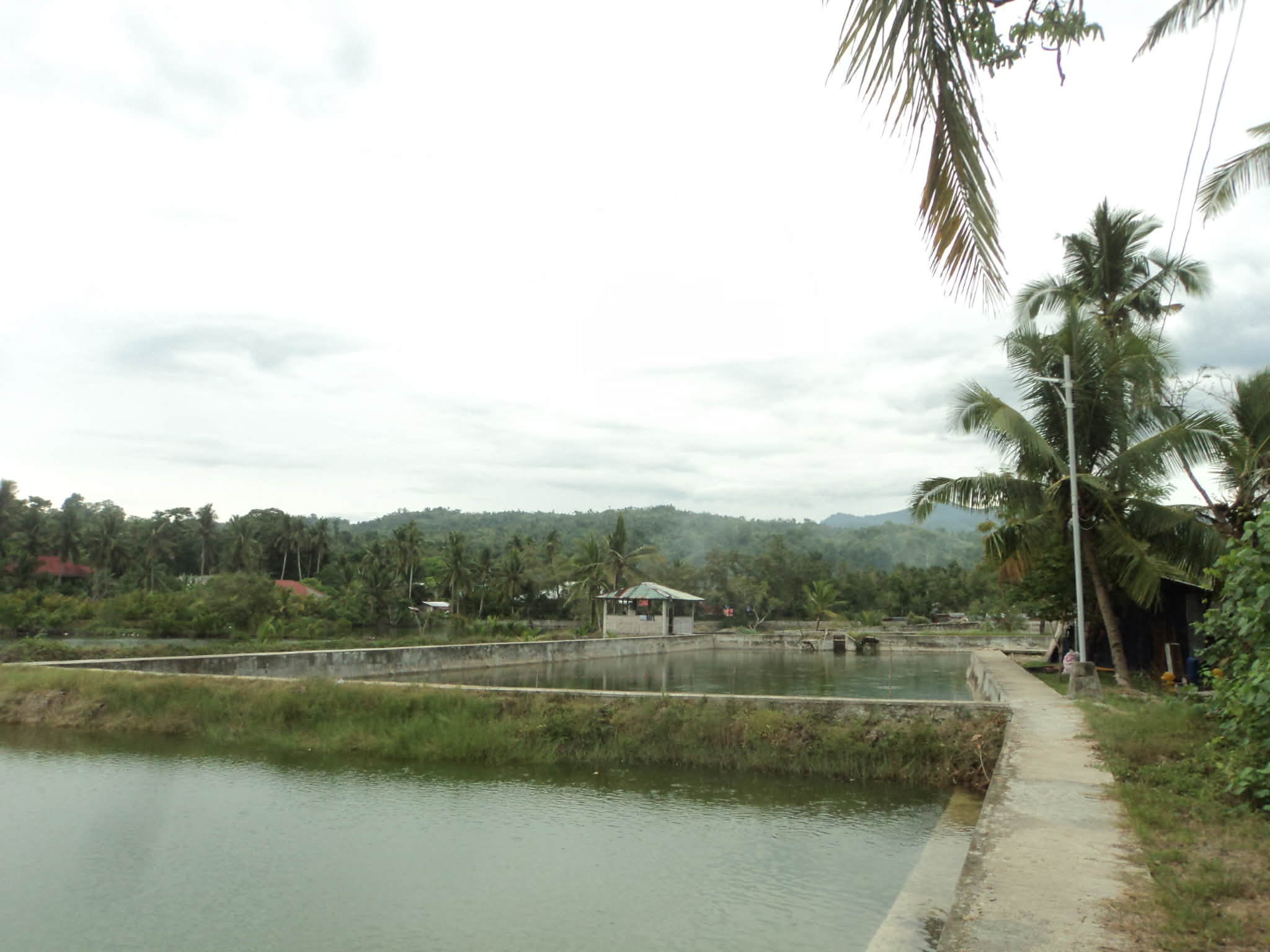 FISHPOND