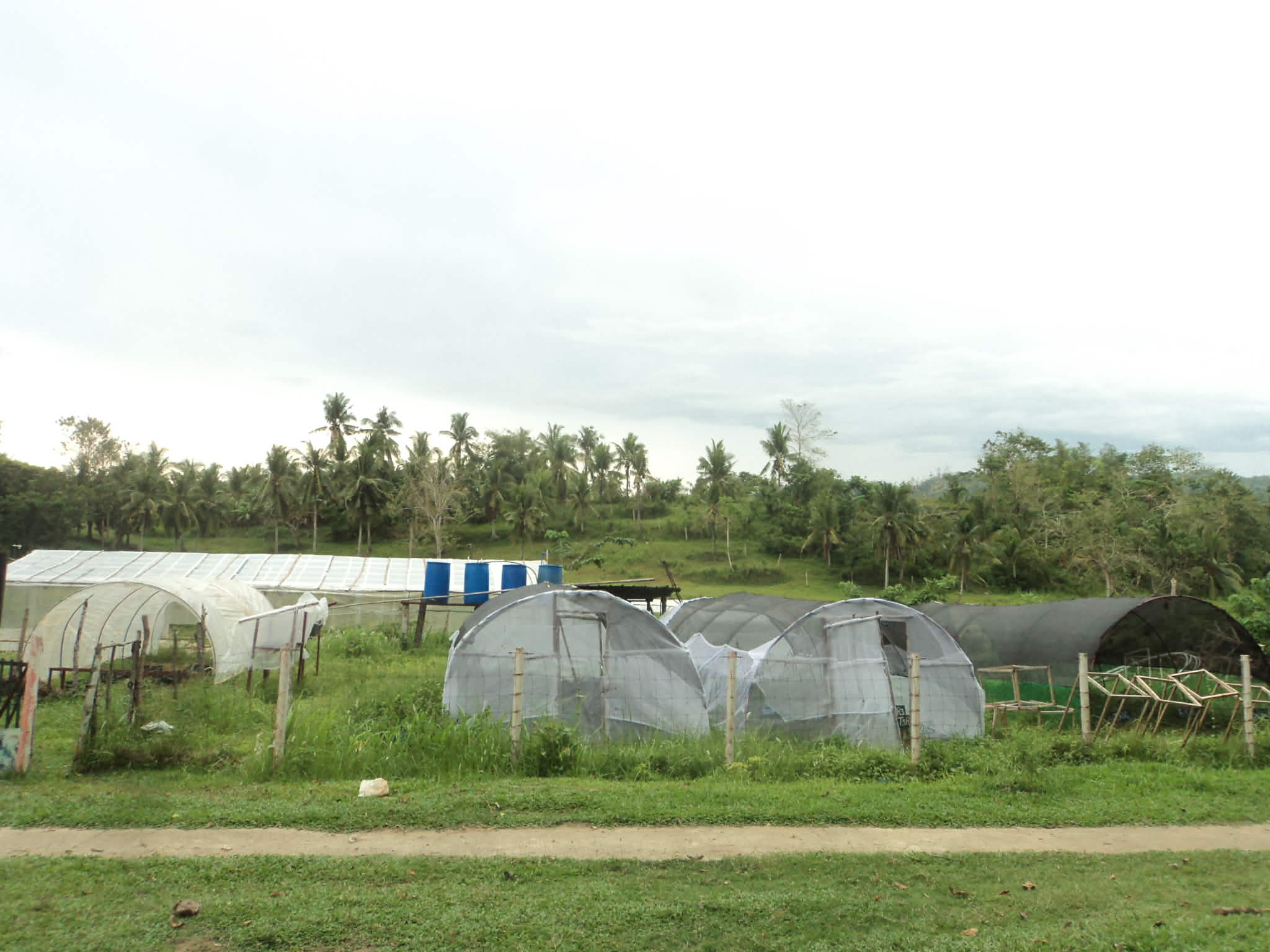 CROP PRODUCTION AREA