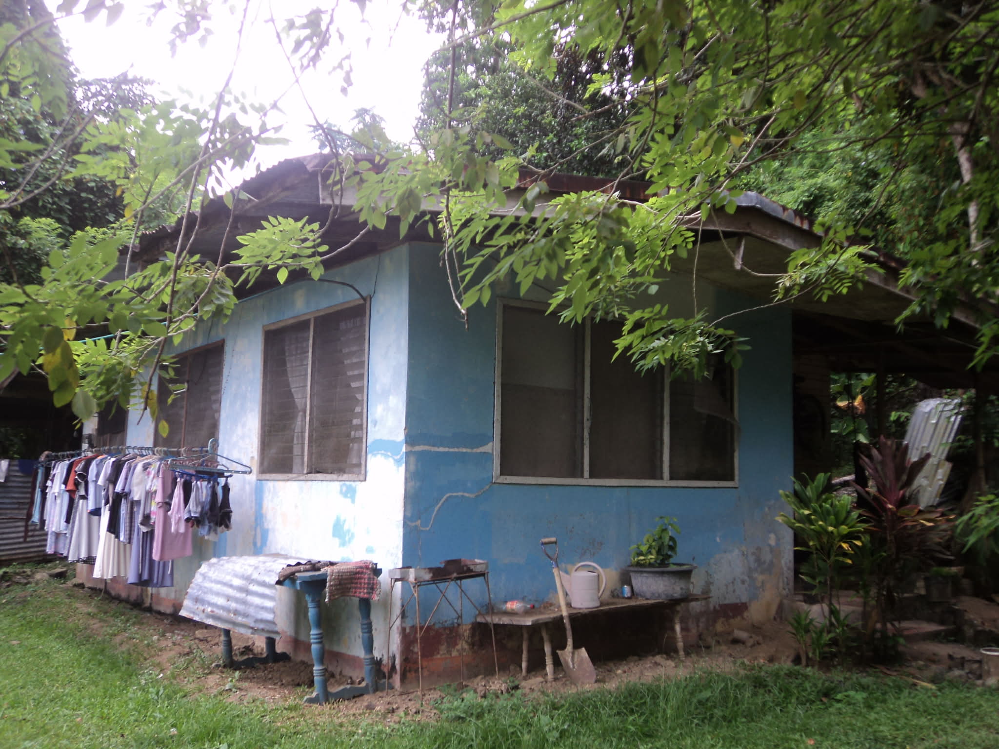STAFF HOUSE  (CHRYSOPHYLLUM)